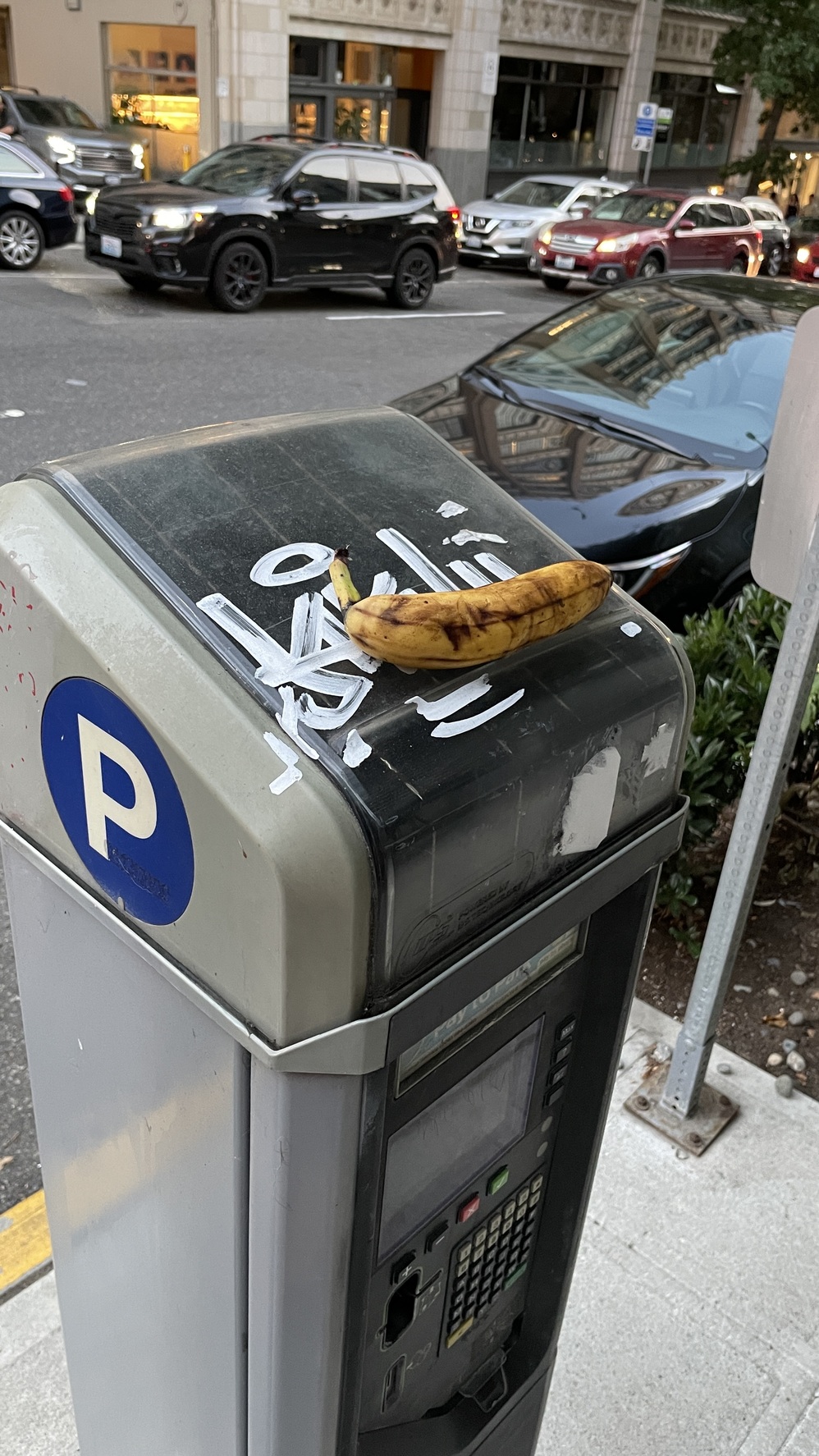 Random Seattle